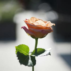 荫道添到高潮免费视频
